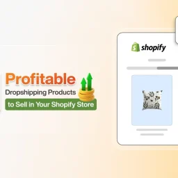 most profitable dropshipping products to sell
